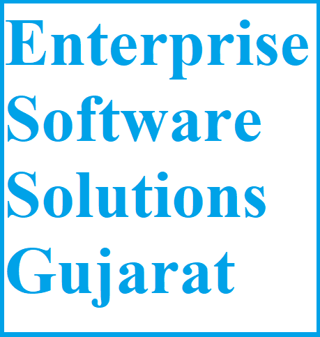 Enterprise Software Solutions Gujarat