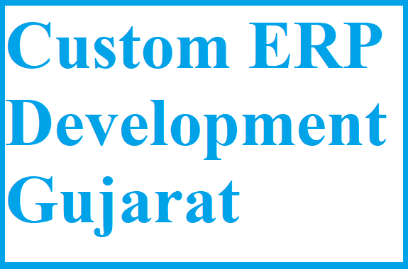 Custom ERP Development Gujarat